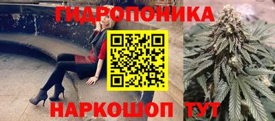 ALPHA PVP Будённовск