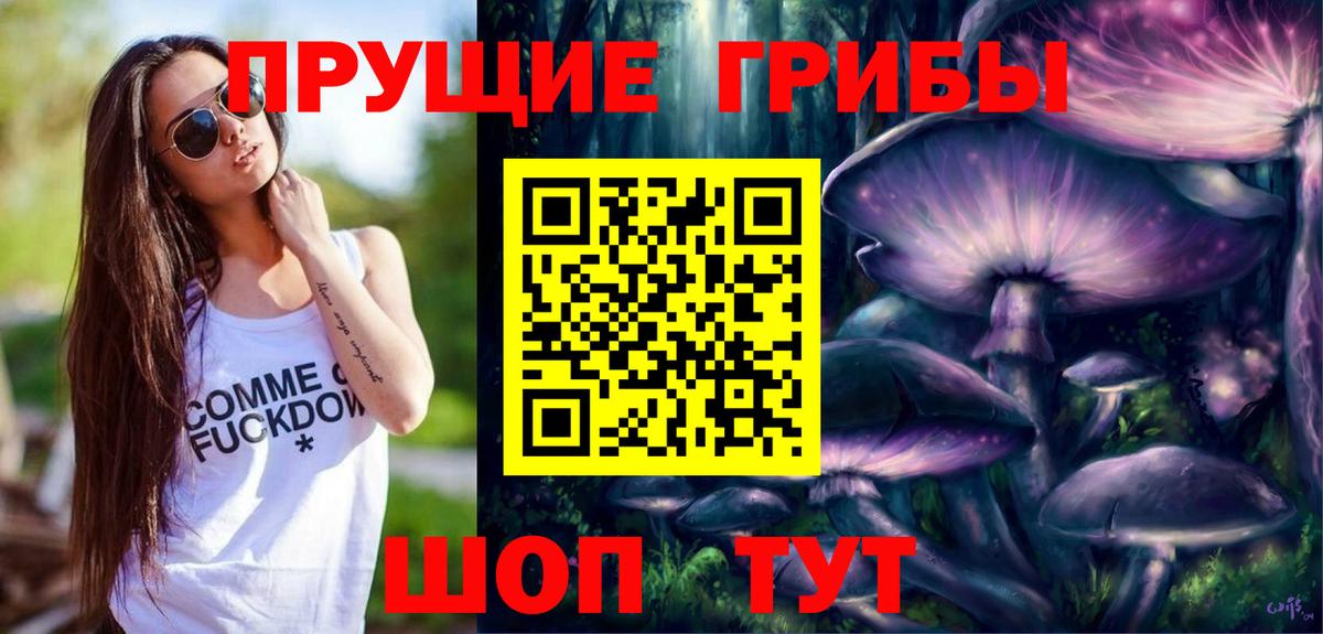 Ростов Великий  Псилоцибиновые грибы GOLDEN TEACHER  Вход с VPN 